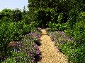 gal/holiday/Nymans Gardens 2003/_thb_Rose_Garden_DSC08664.JPG